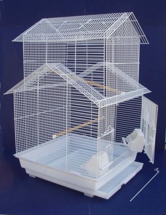 Love Bird on Lovebird Cages